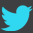 Siga-nos no Twitter